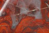 Polished Stromatolite (Collenia) - Minnesota #155581-1